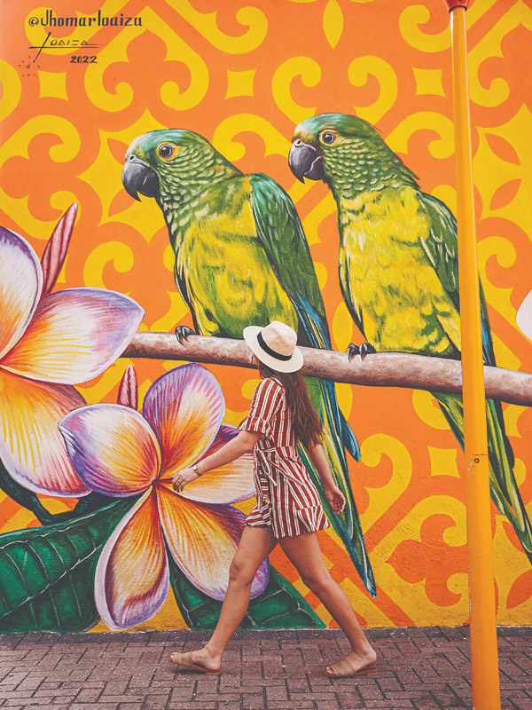 Parrots Mural