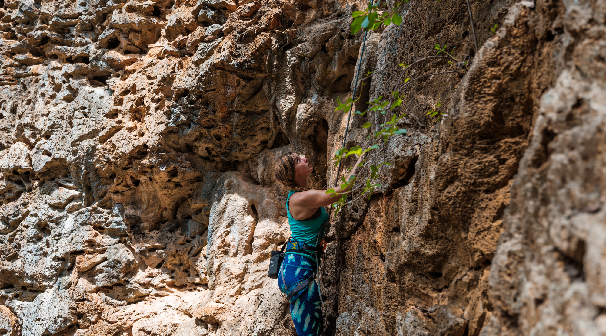 A Thrill Seeker’s Guide 1