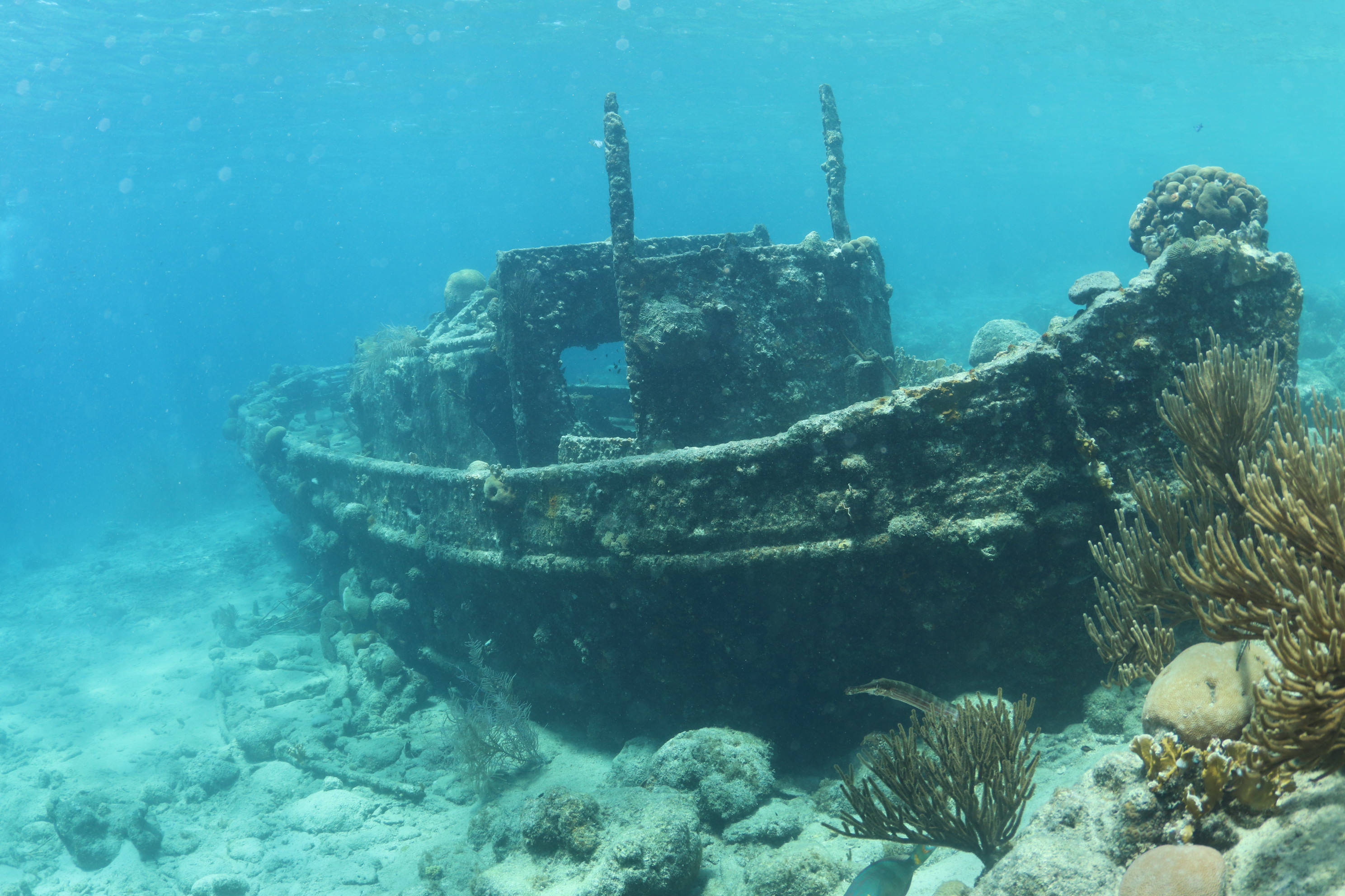 Tugboat - Curacao diving (1)