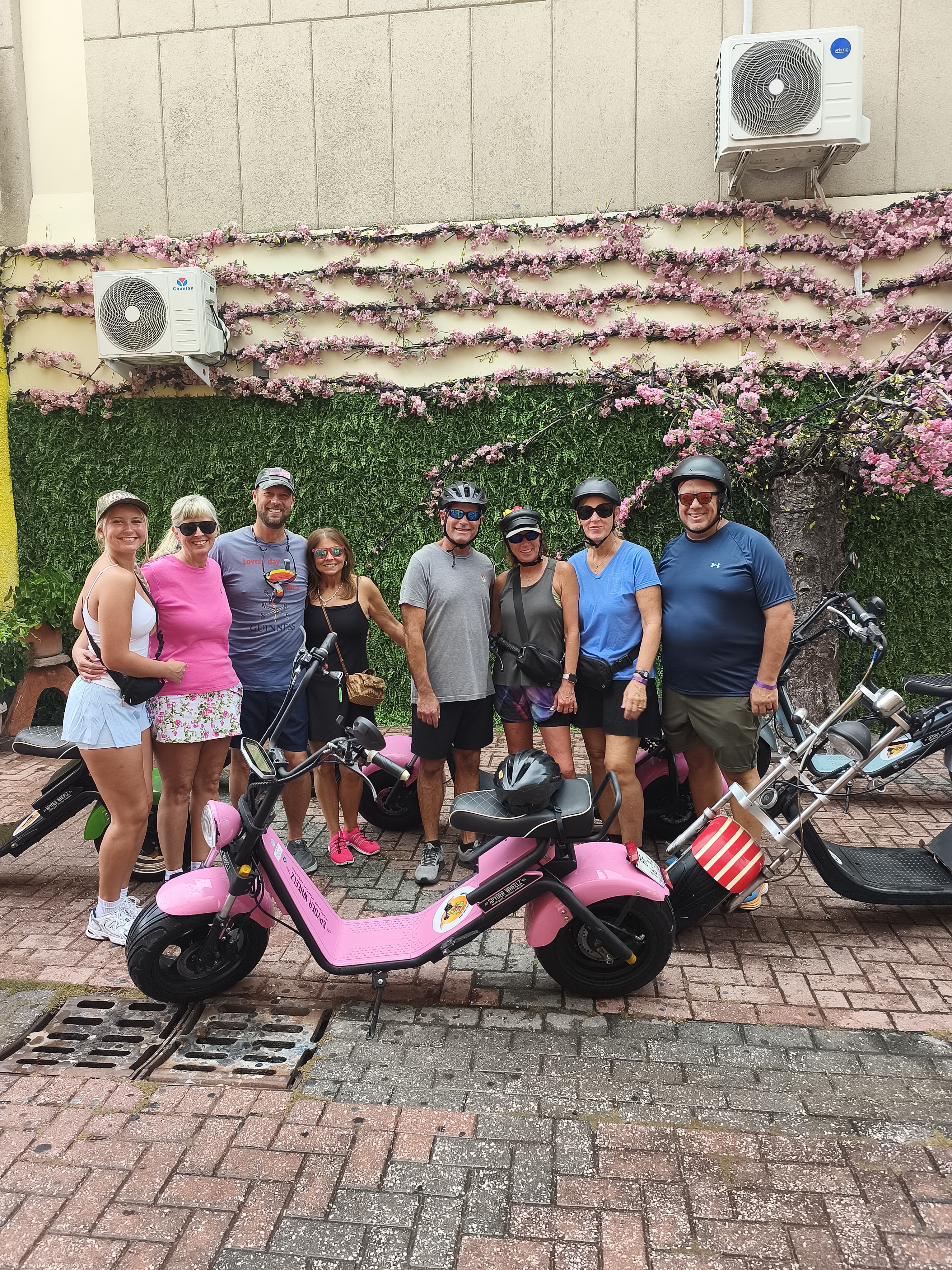 Iguana rides (3)