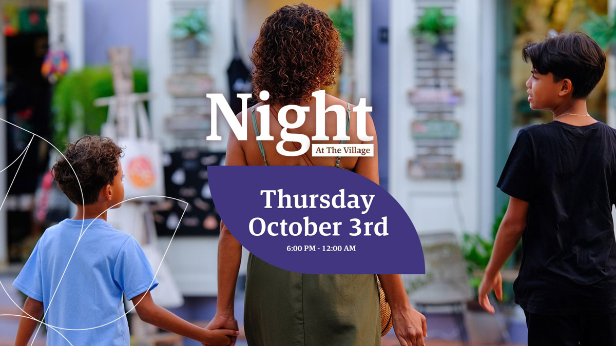 Night at the Village