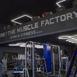 The muscle factory