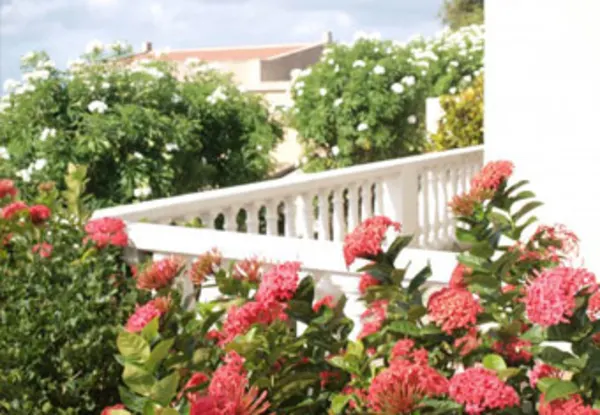 Piscadera Seaview Apartments Curacao Das Karibische Ziel