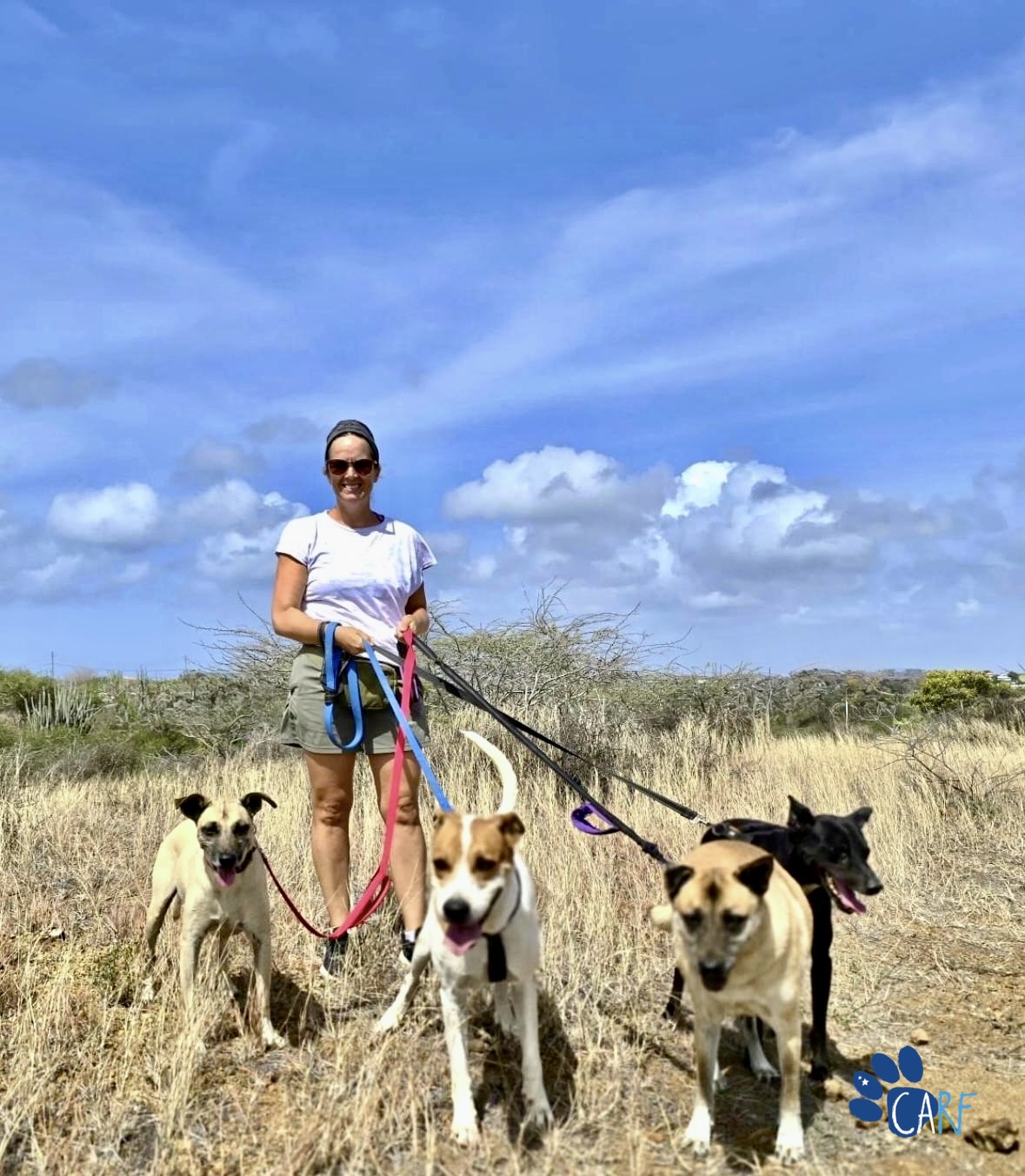 CARF Curacao Animal Rights Foundation (2)