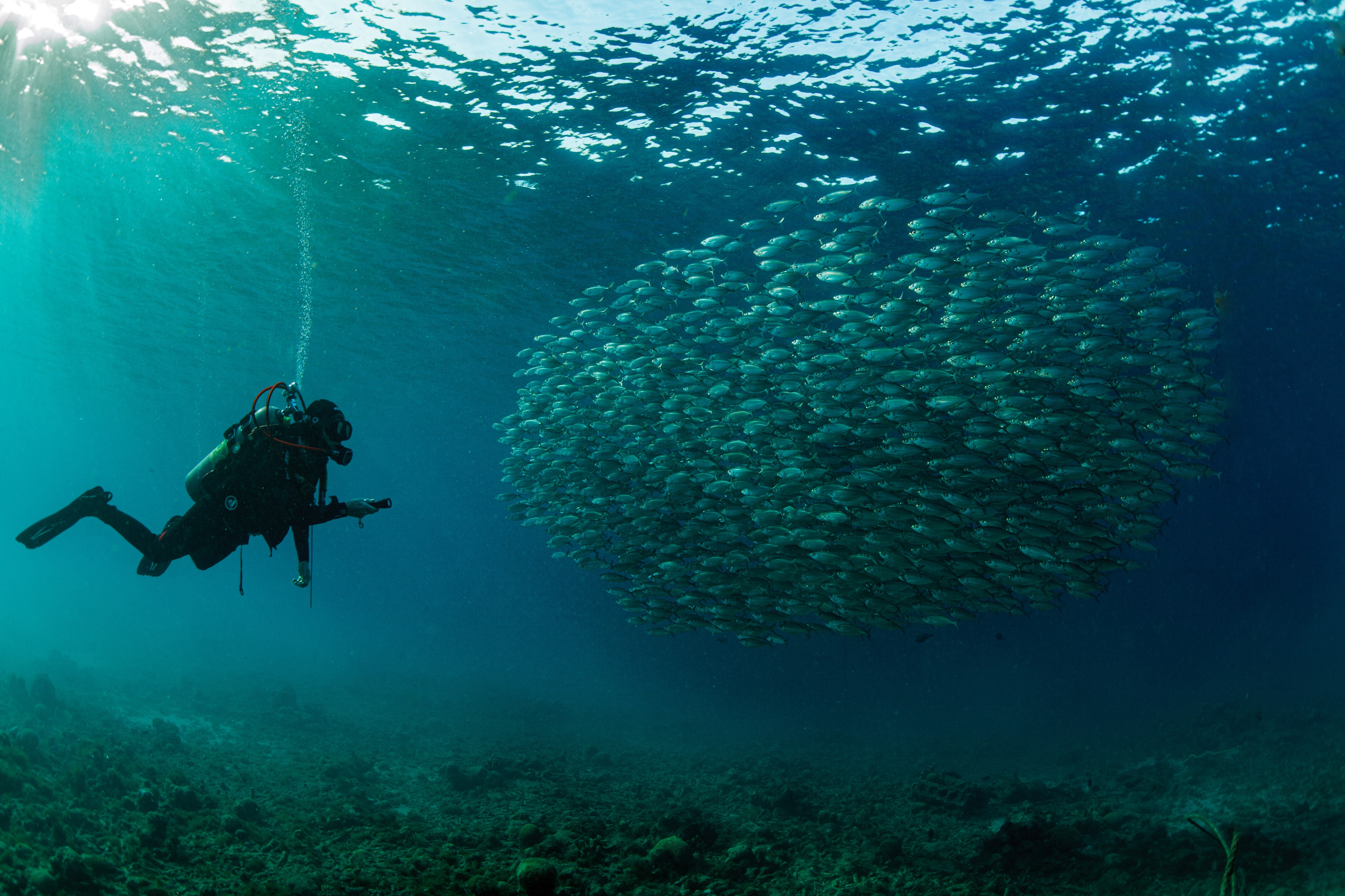 Diving in Curacao (2)