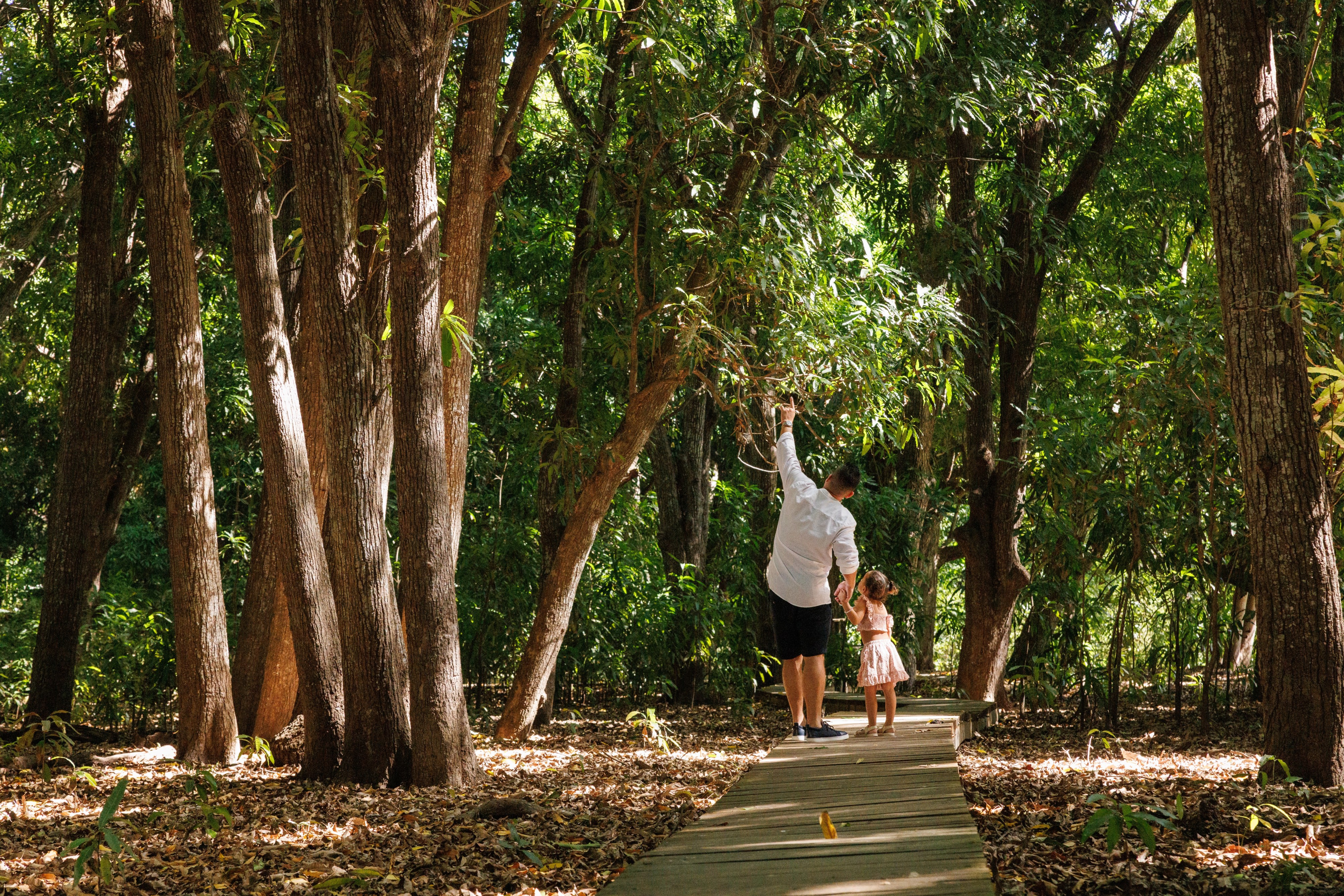 Hofi Mango Curacao (1)