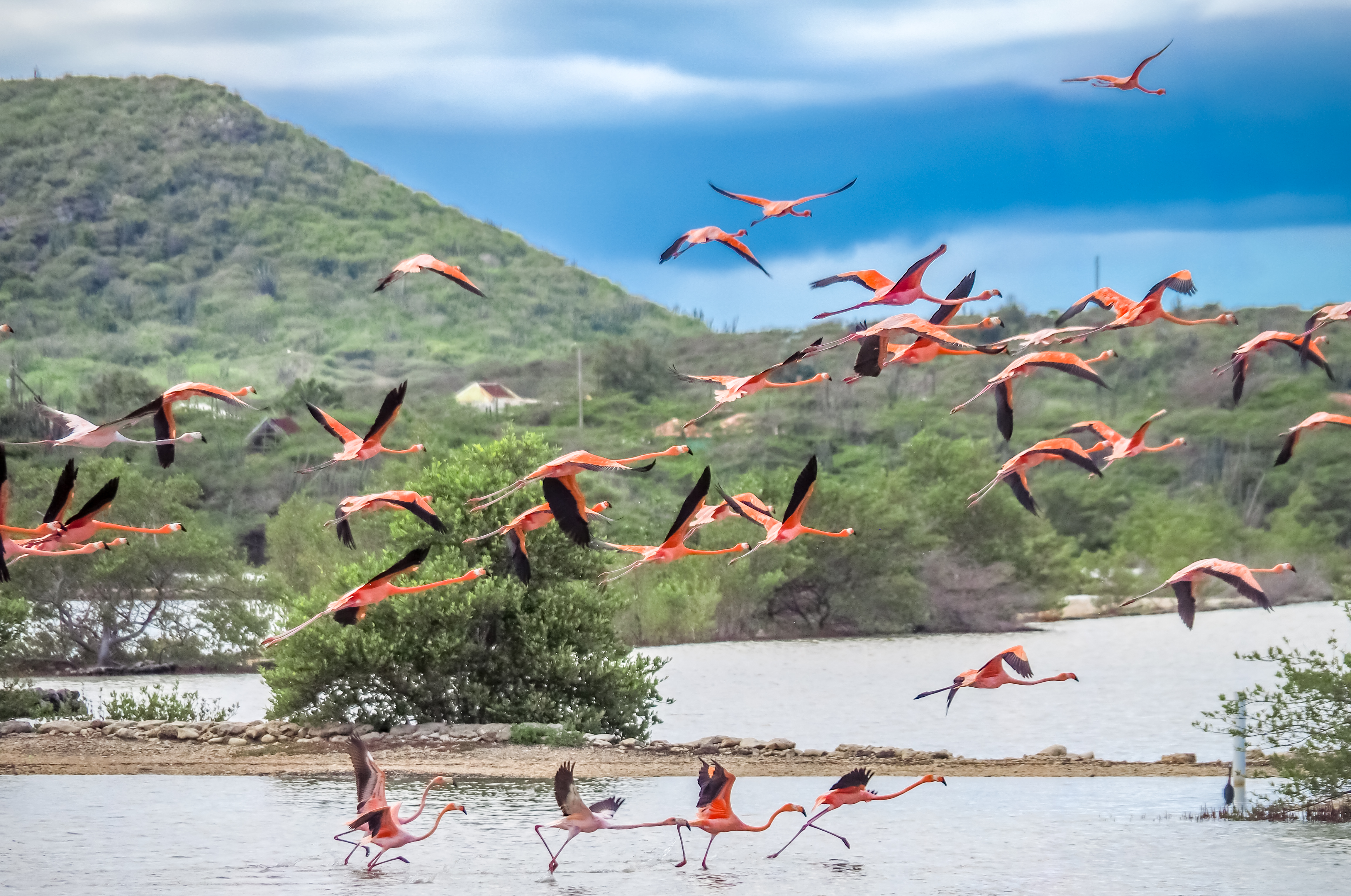 Seru Lora Nationalpark (1)