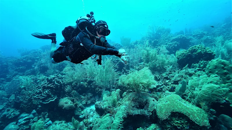 Bryan swimming underwater