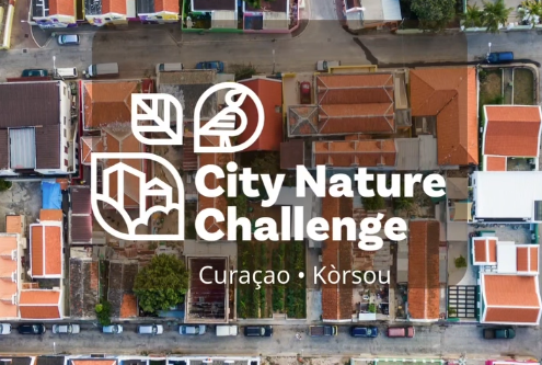 city nature challenge kick off