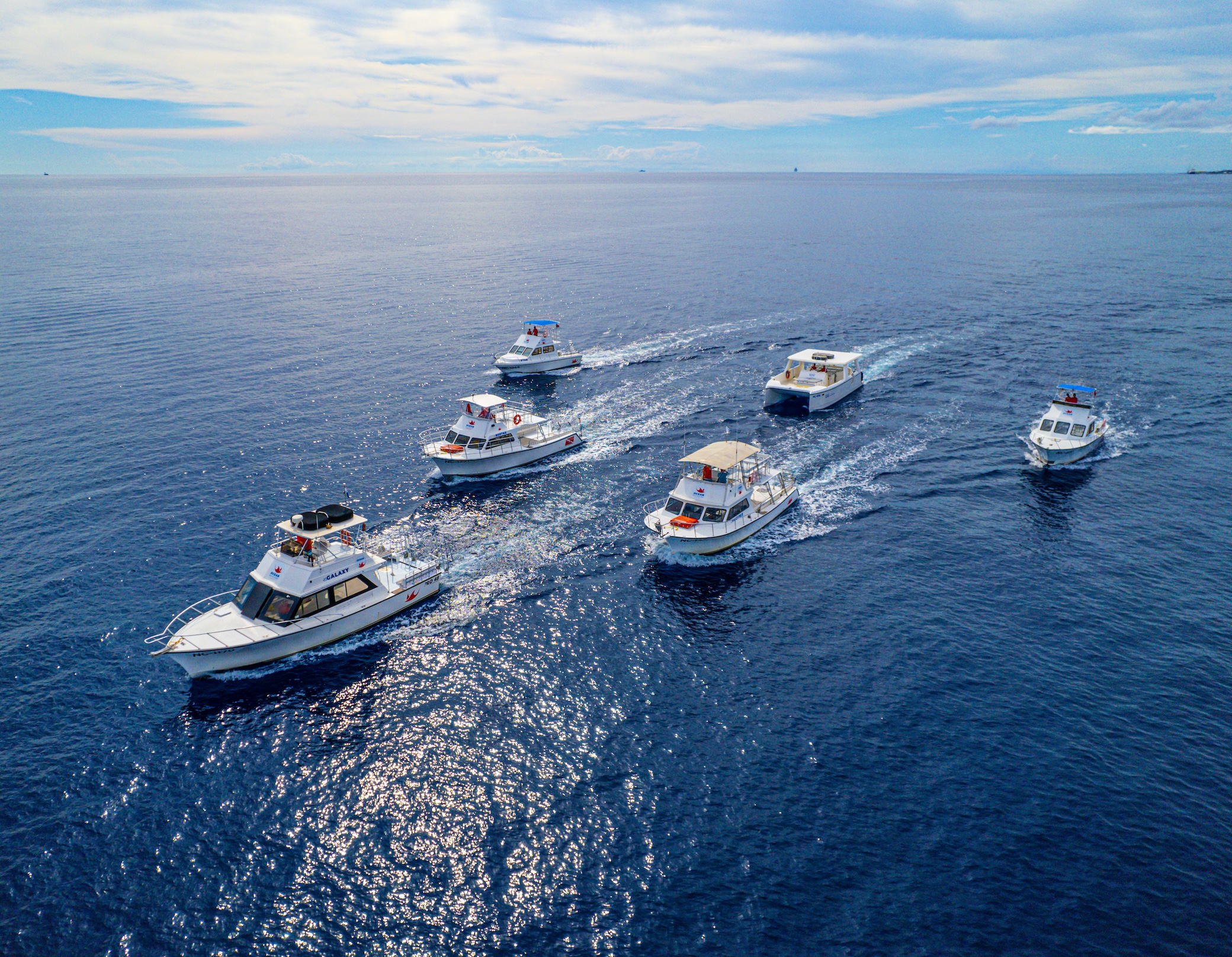 Ocean encounters (2)