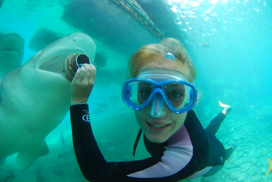 Animal Encounter | Curacao, the Caribbean Getaway