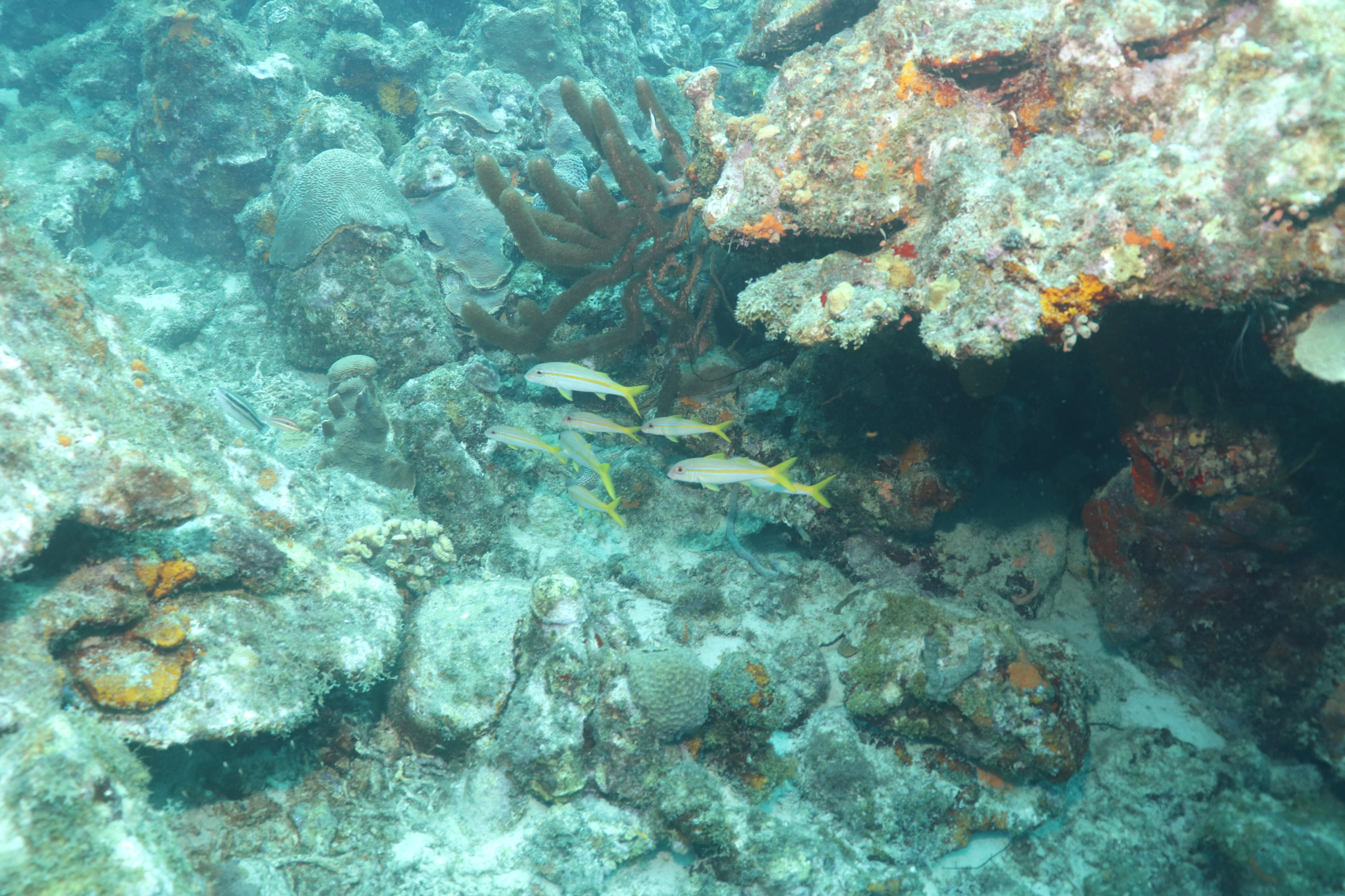 Boca Santu Pretu (1)