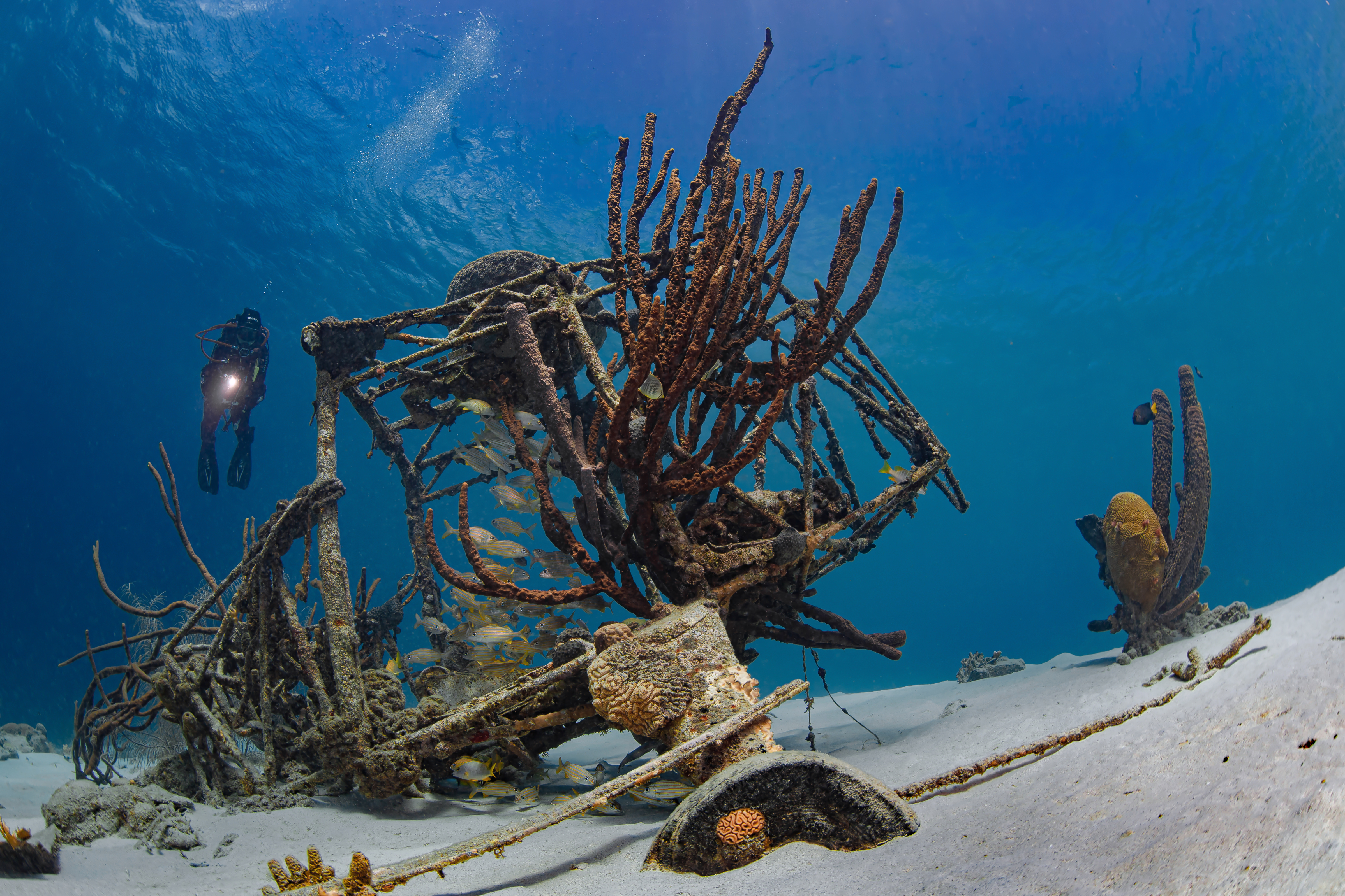 Diving in Curacao