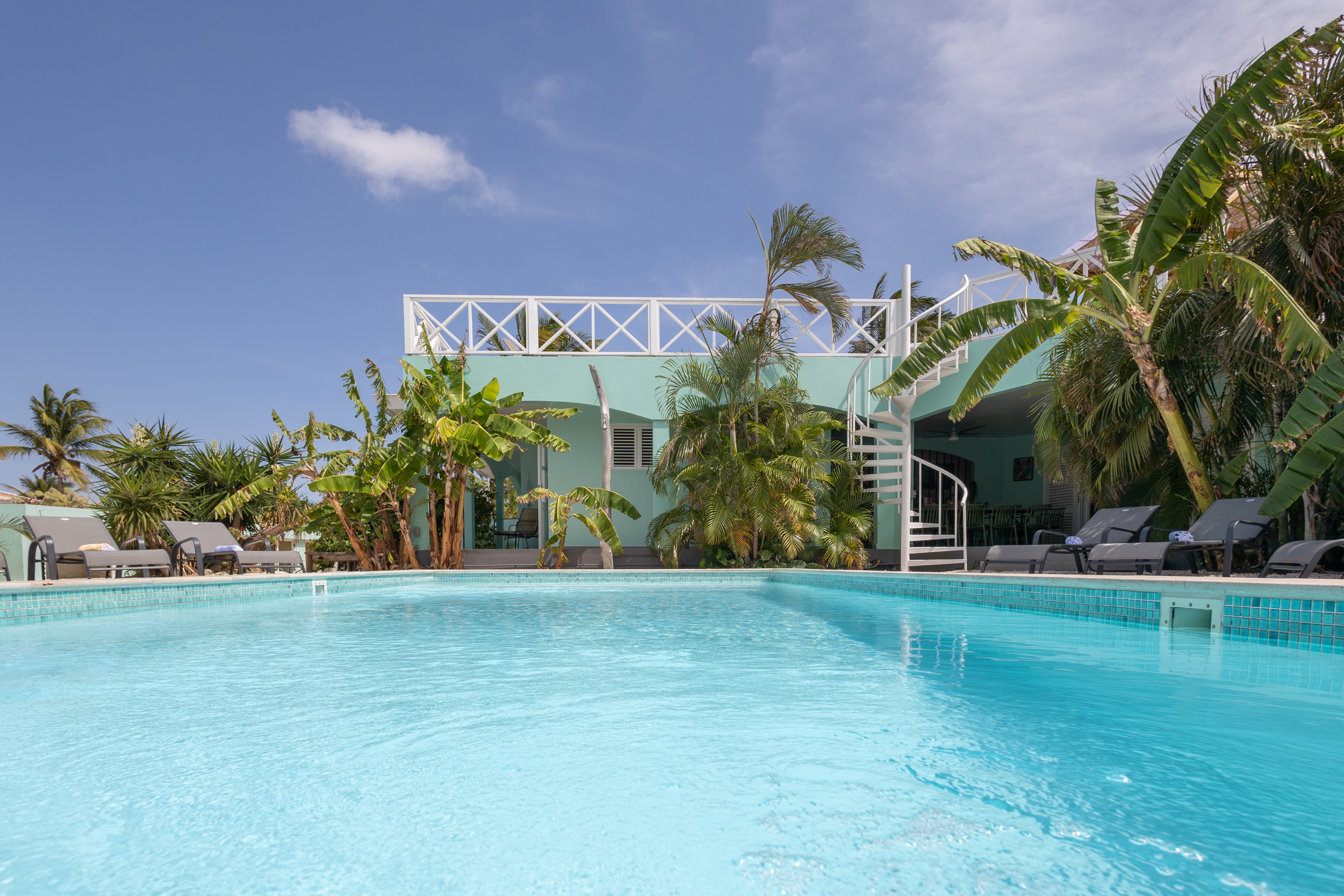 Villa bananas1