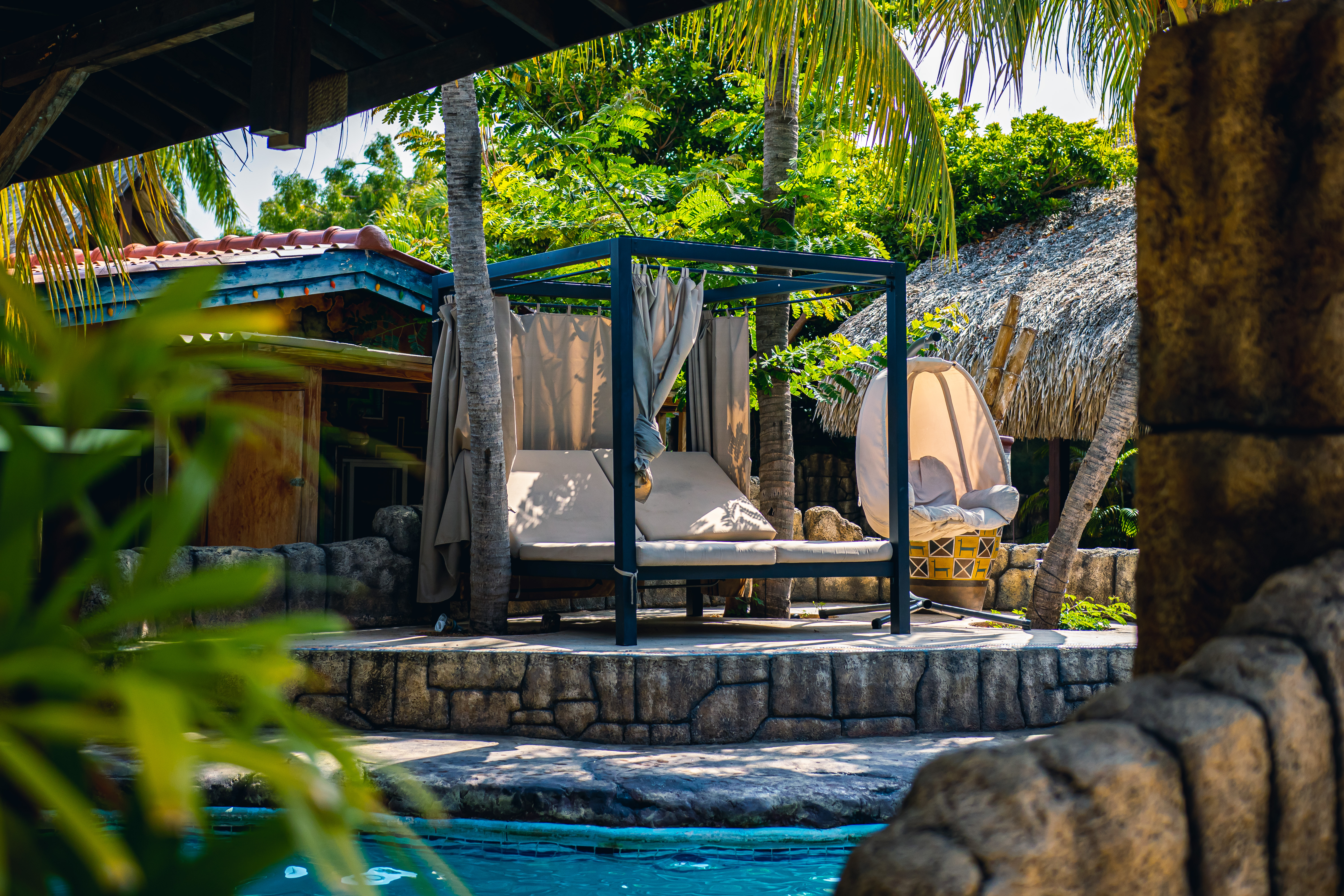 Amazonia: The Jungle Experience