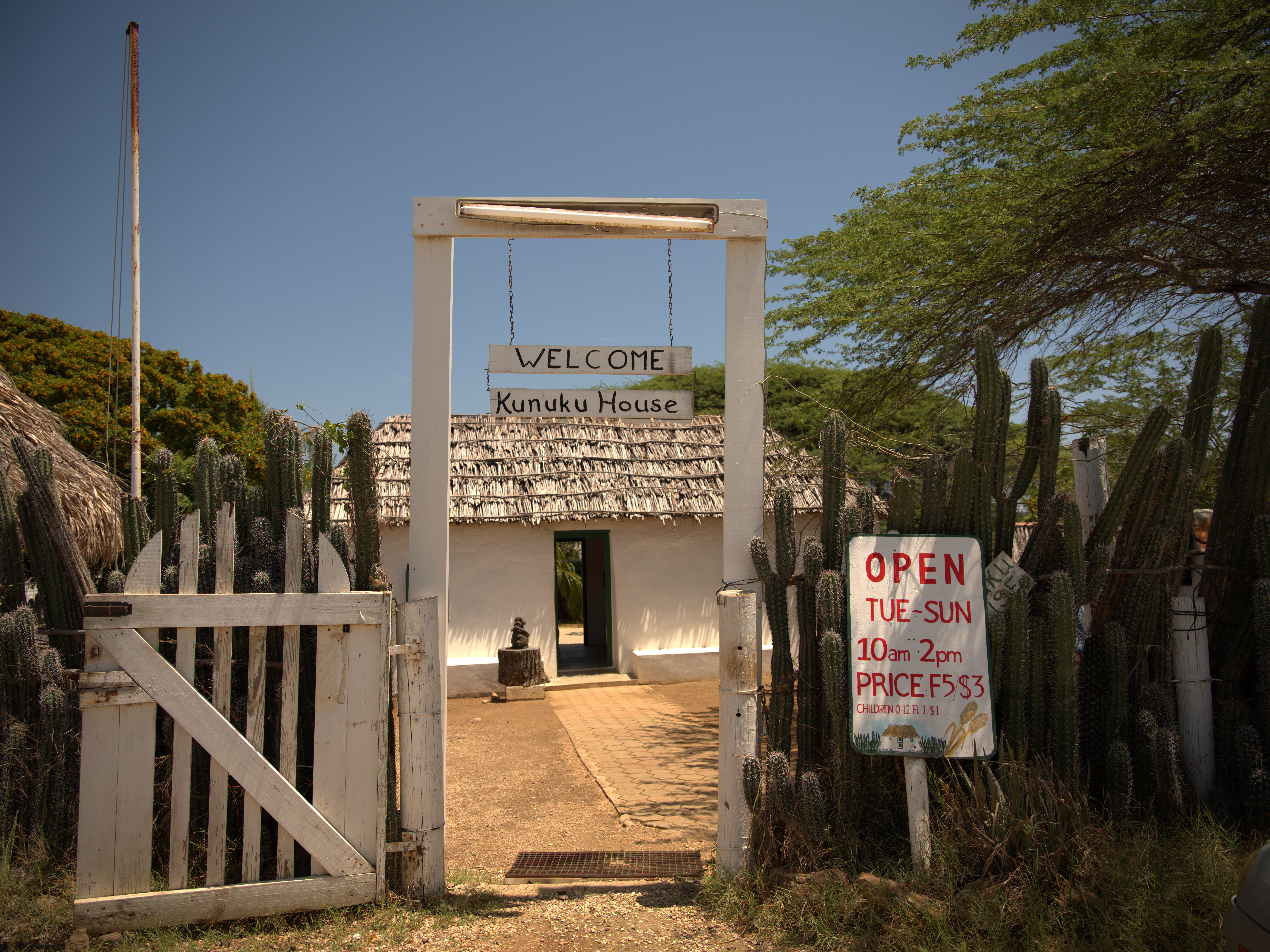 Kas di Pali maishi (3)