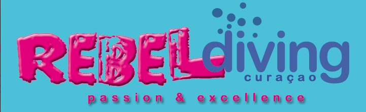 Rebel diving (1)