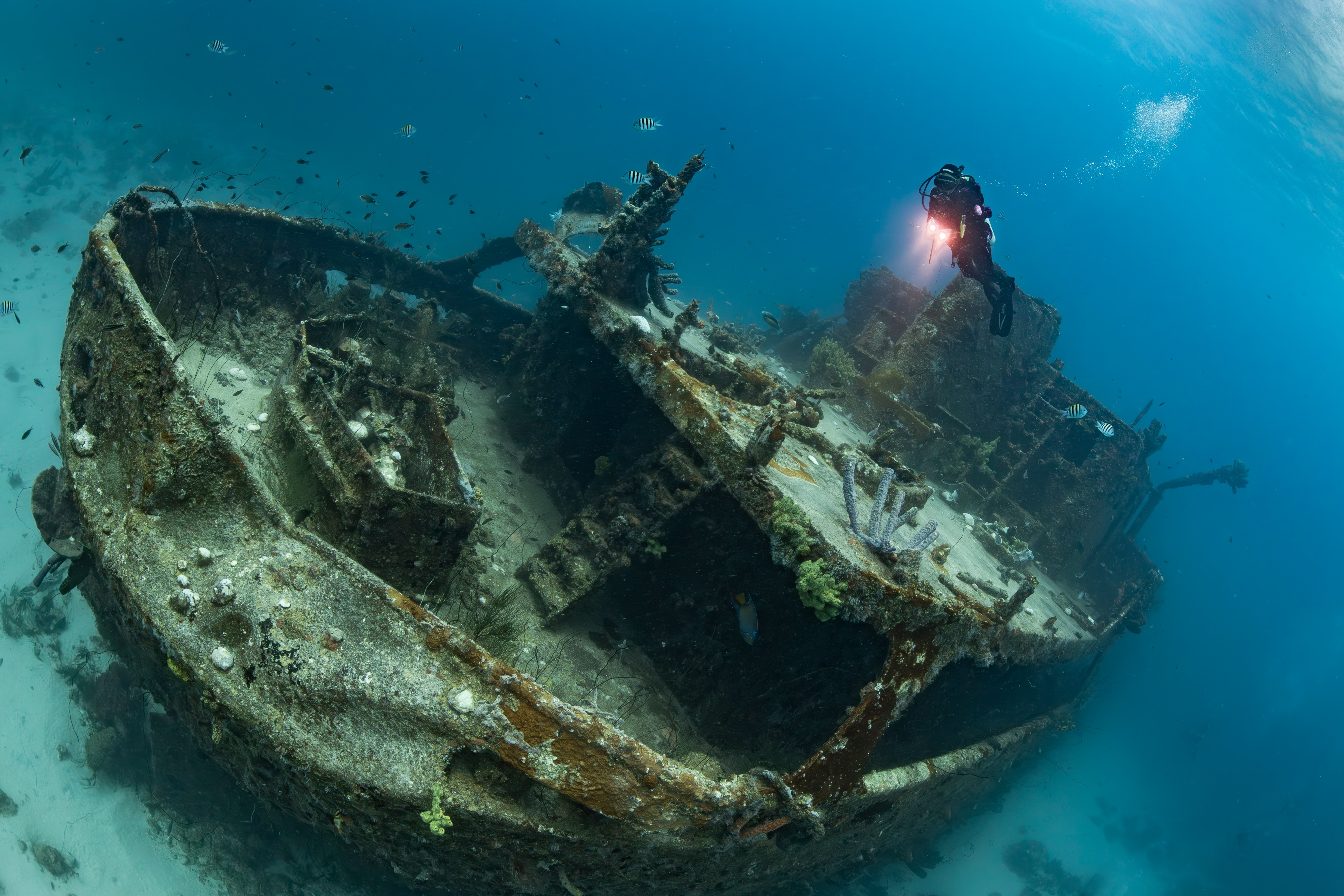 Diving in Curacao (1)