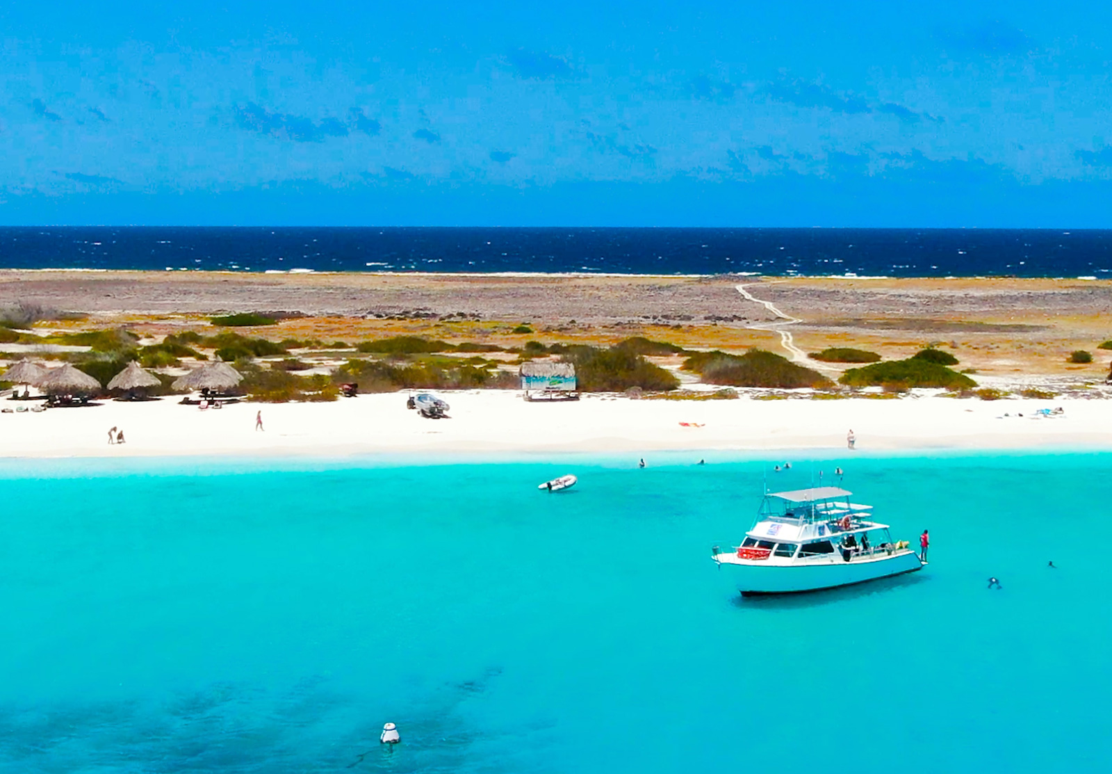 Ocean Encounters Diving