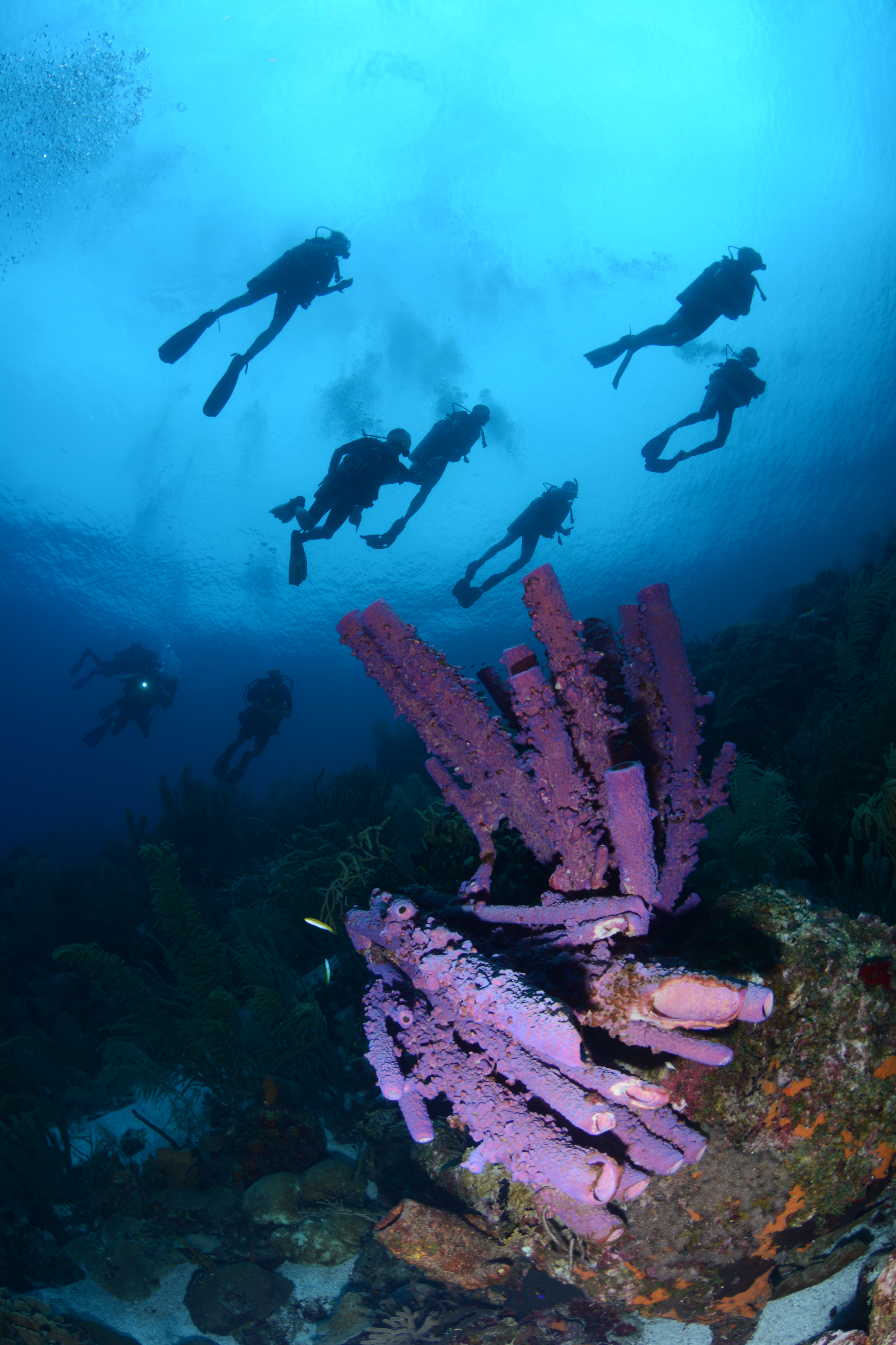 Black Rock Curacao (1)