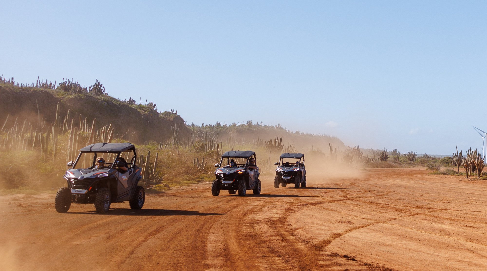 Things to Do - buggies at Hato