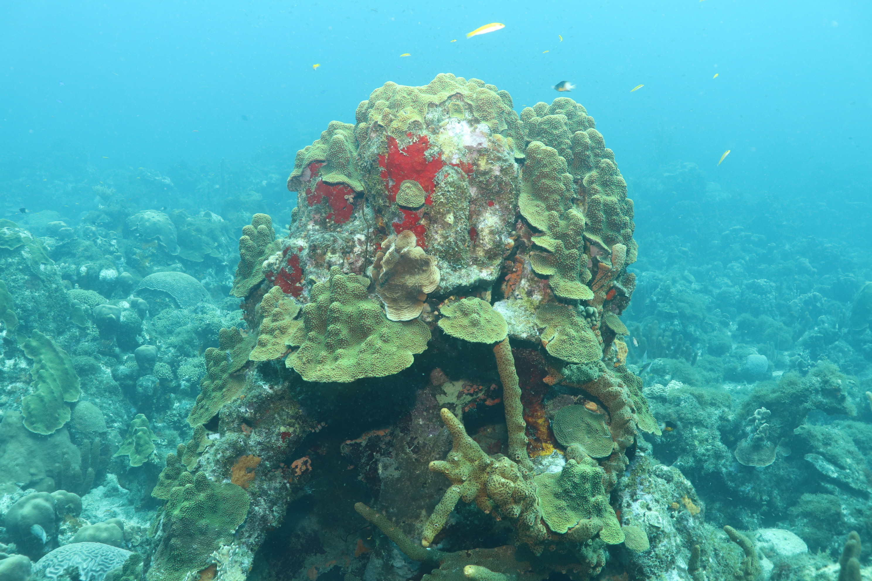 Boca Santu Pretu (3)