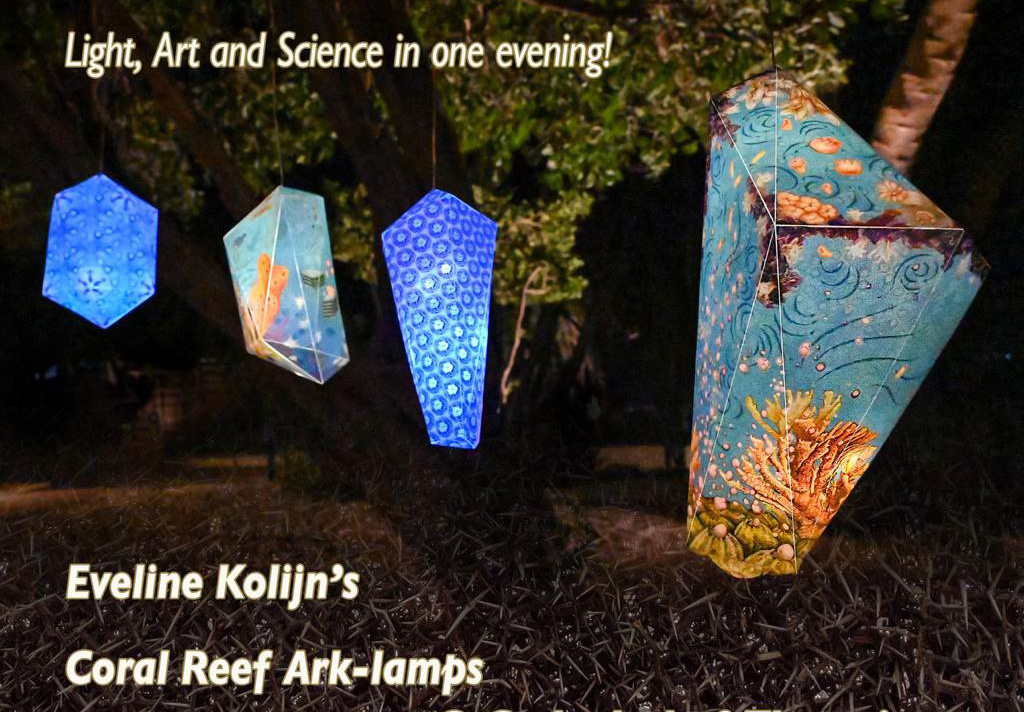 Cathedral of Thorns by Night