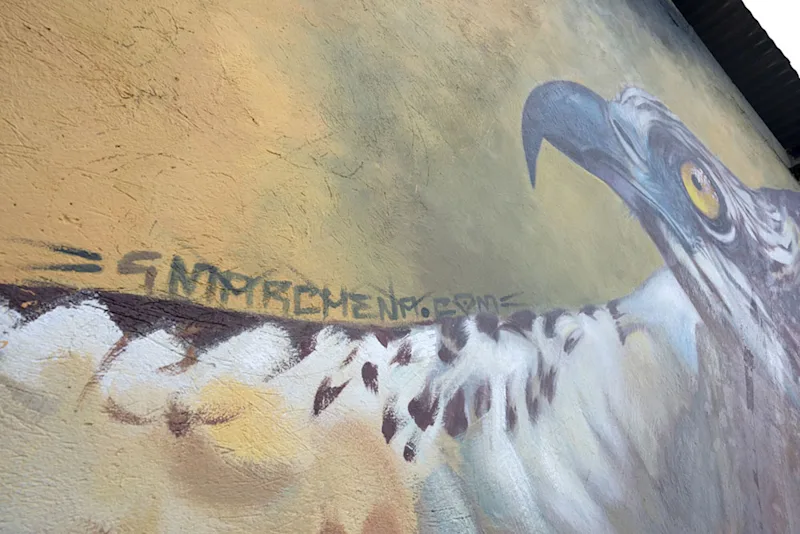 One of Garrick's famous murals of an eagle.