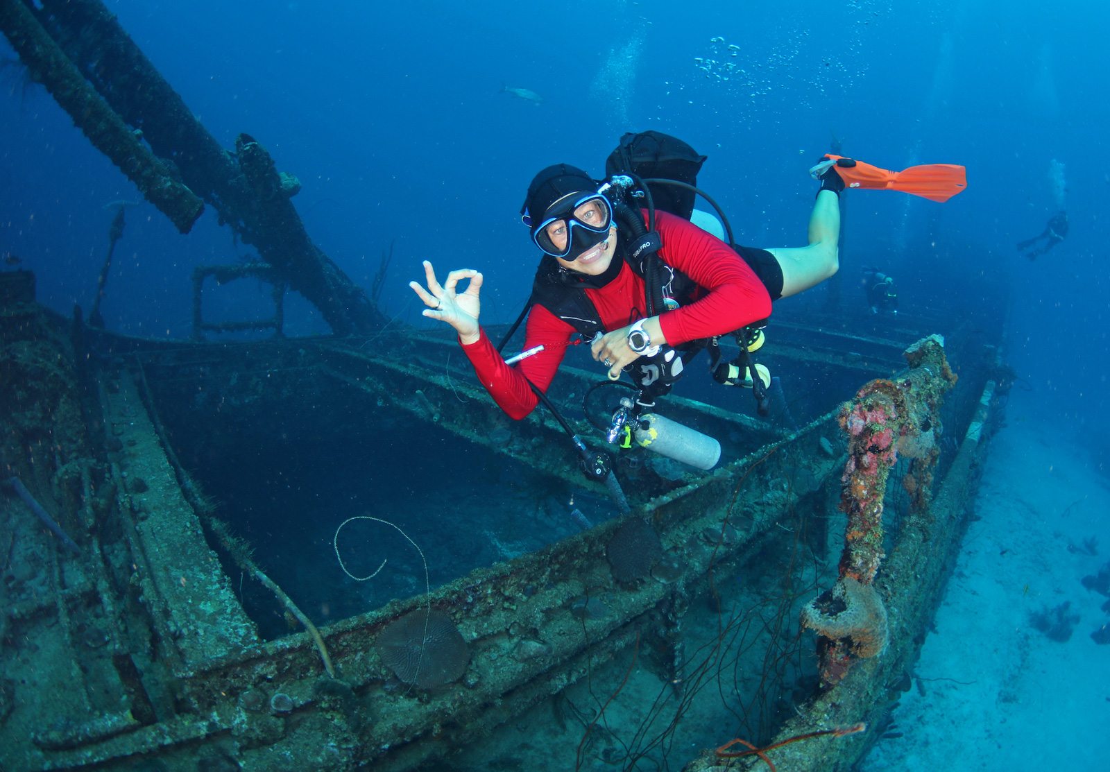 Ocean Encounters Diving