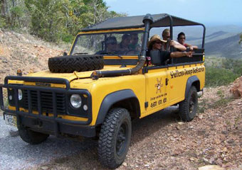 CC Yellow Jeep Safari's