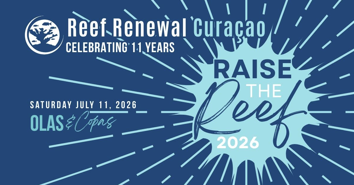 reef renewal