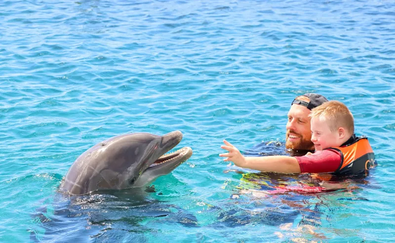 Dolphin curacao
