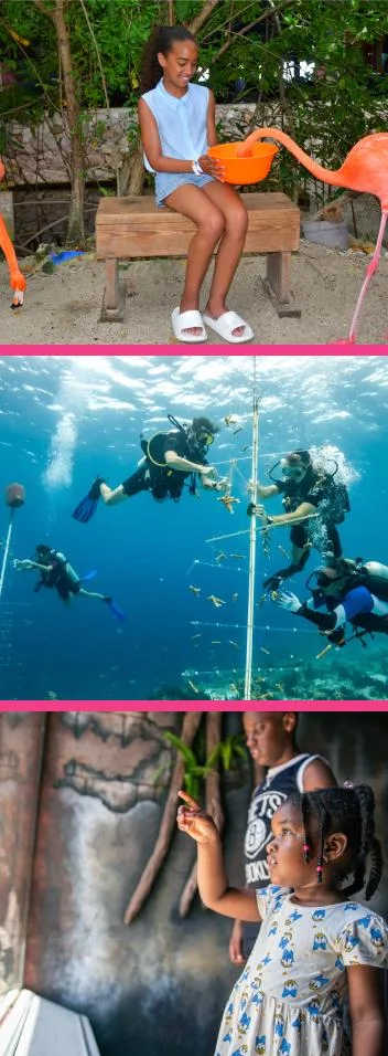 Travel with Love children and divers