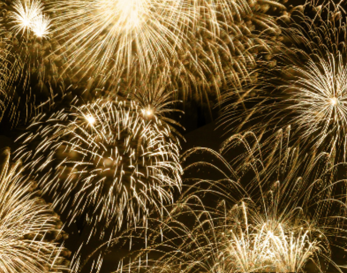 New years dinner papagayo