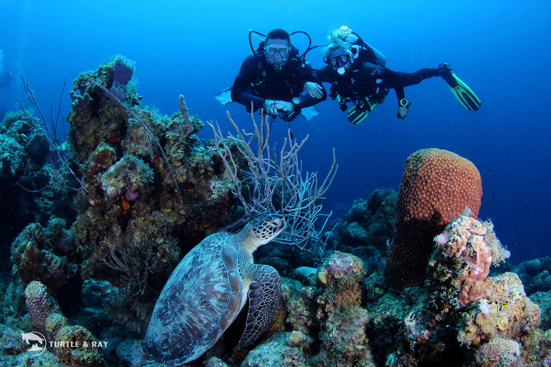 Scubaçao Diving Adventures
