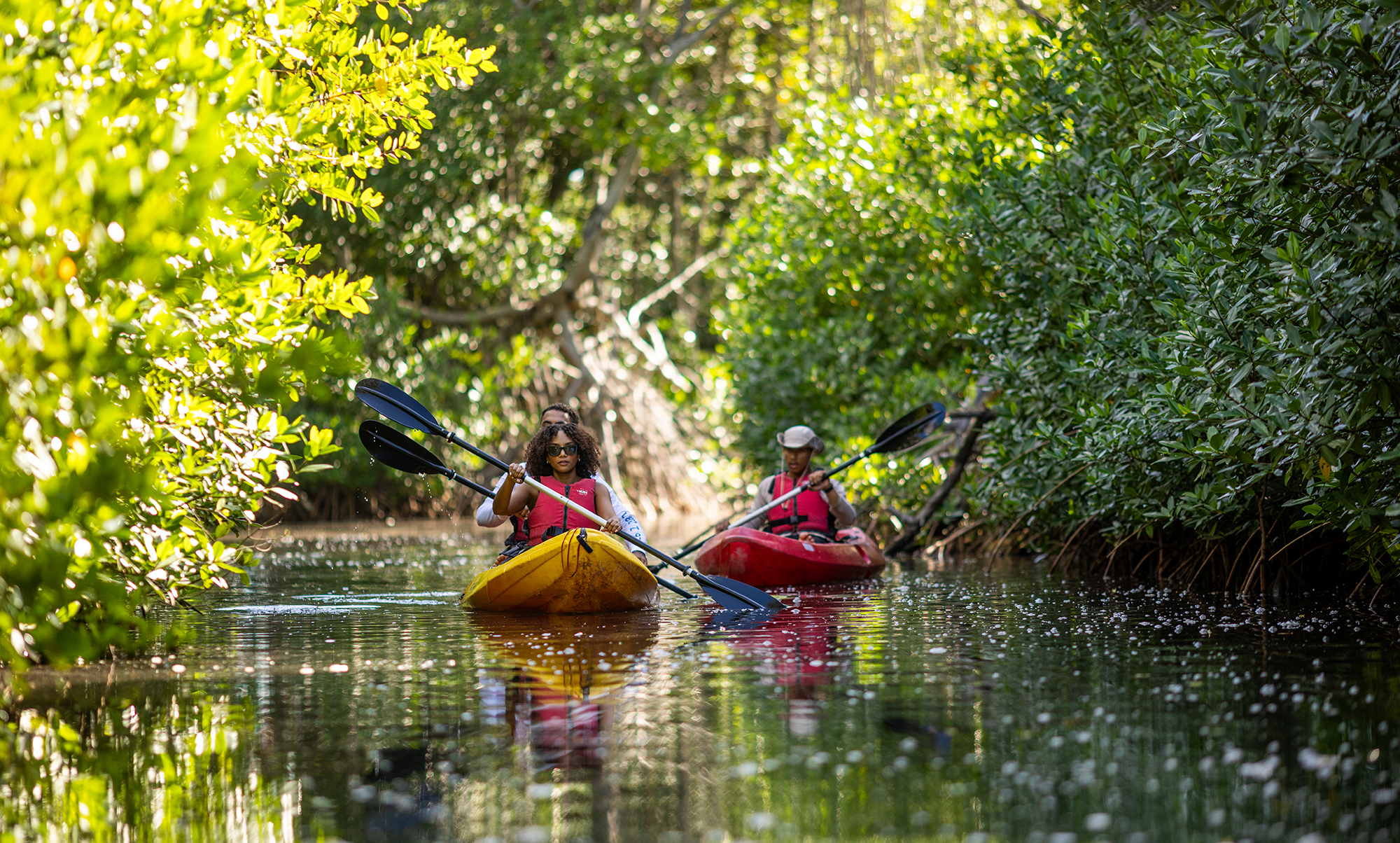 Kayak Curacao
