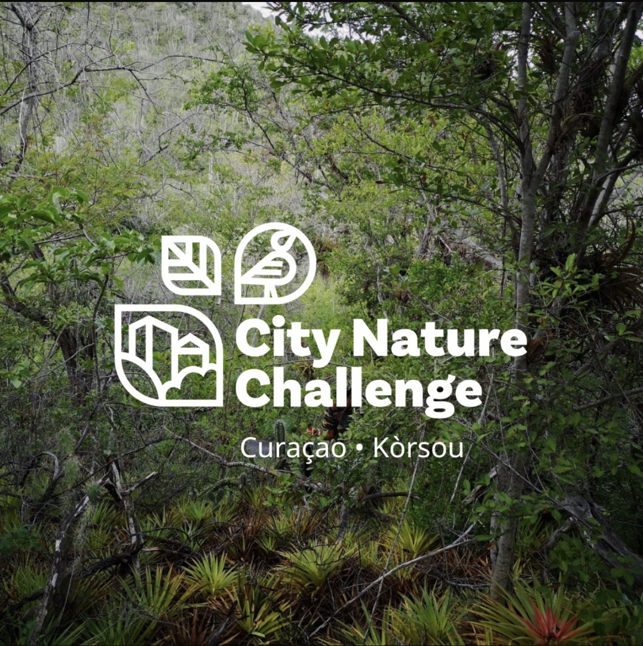 City Nature Challenge