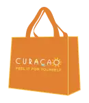 Handbag Icon