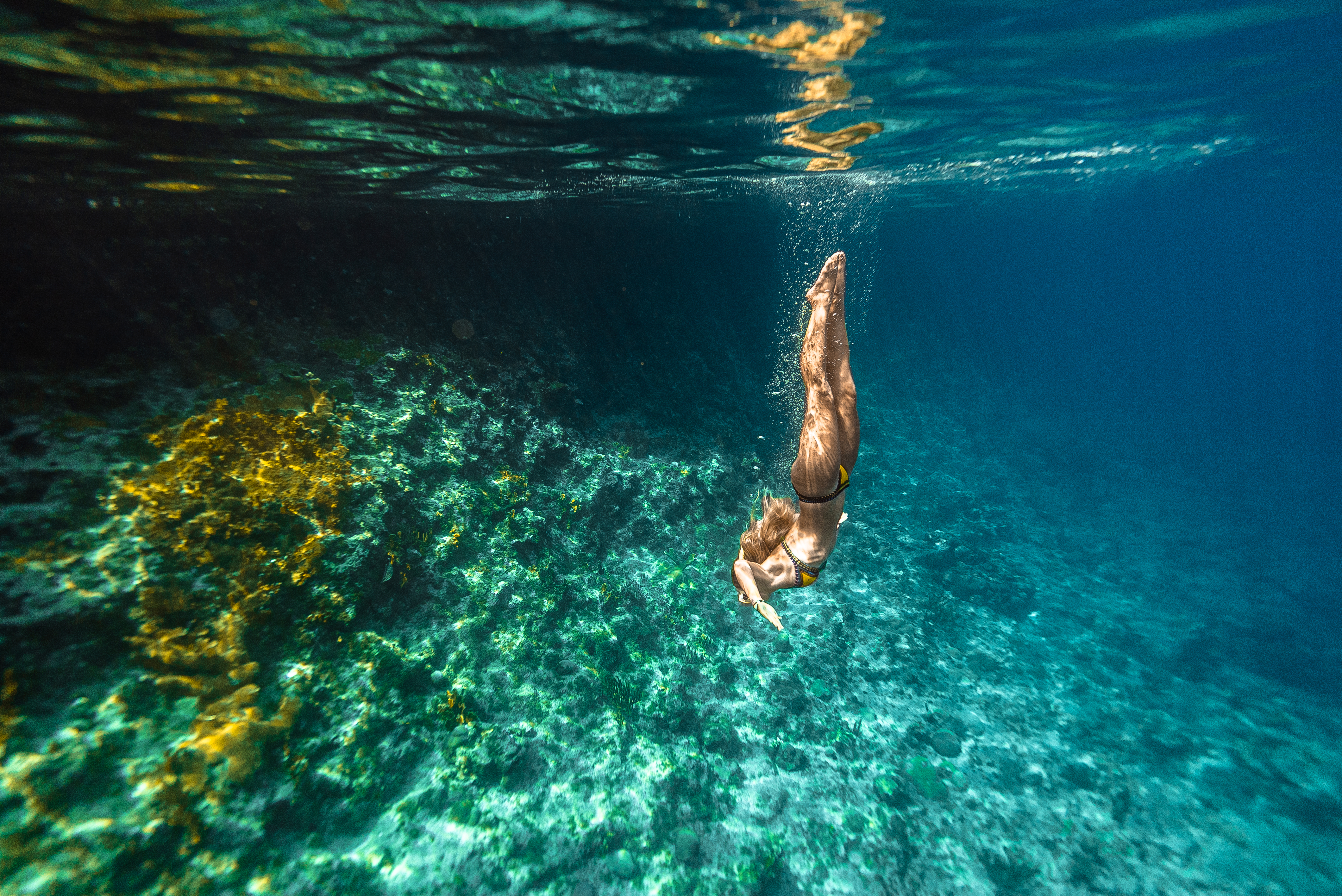 Snorkeling Curacao