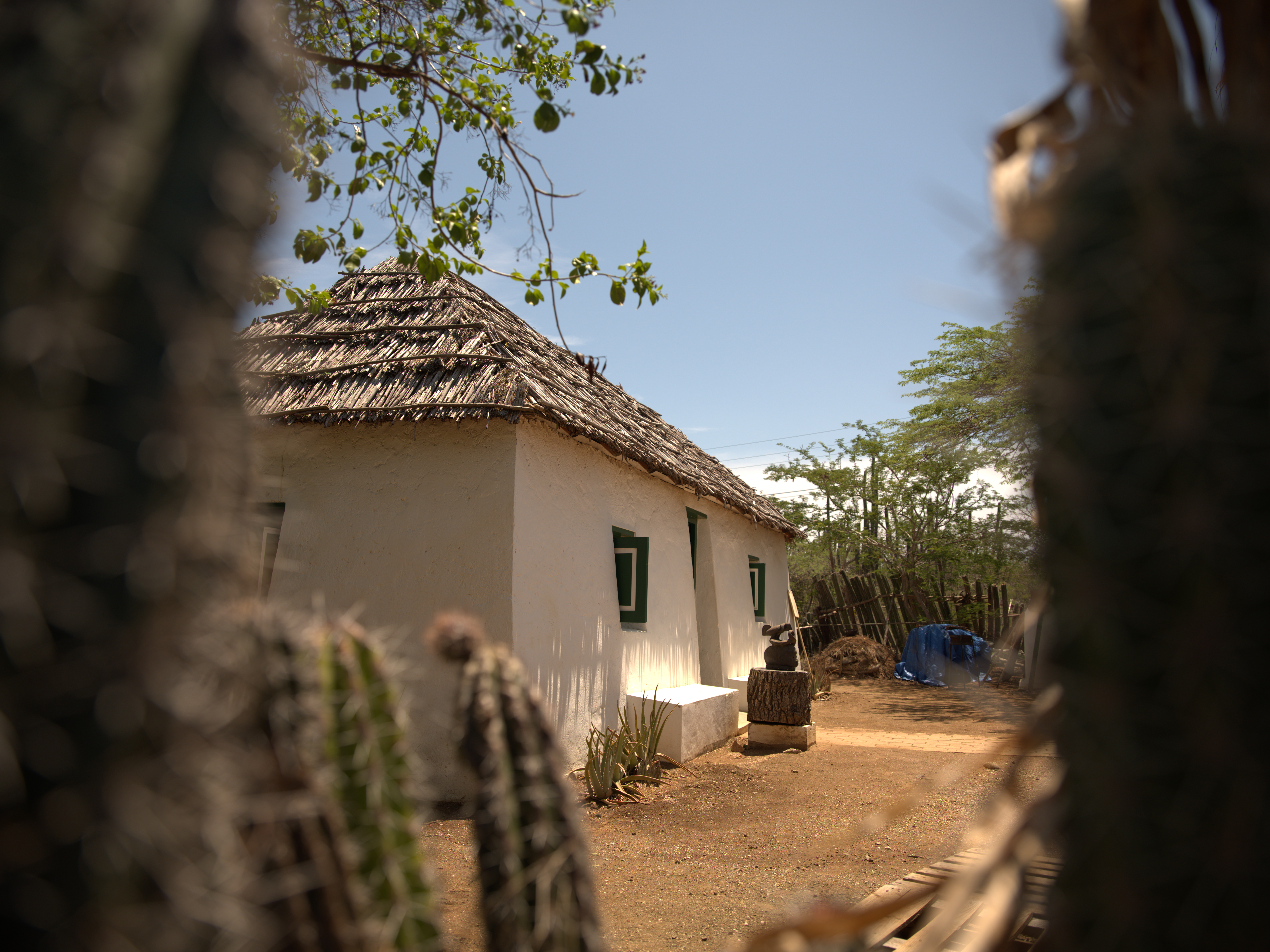 Kas di Pali maishi (1)