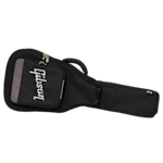 ASPGIG-LG_front.png