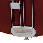 GCVP0129 TailpieceDetail