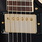 RAM026373 230940087 9lbs11oz Pickups