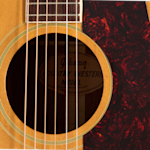 GCVP0064 SoundHole