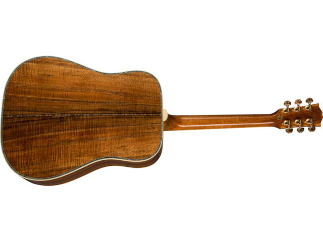 hummingbird custom koa