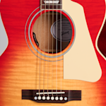 MCSBLPPVCS 7 Soundhole