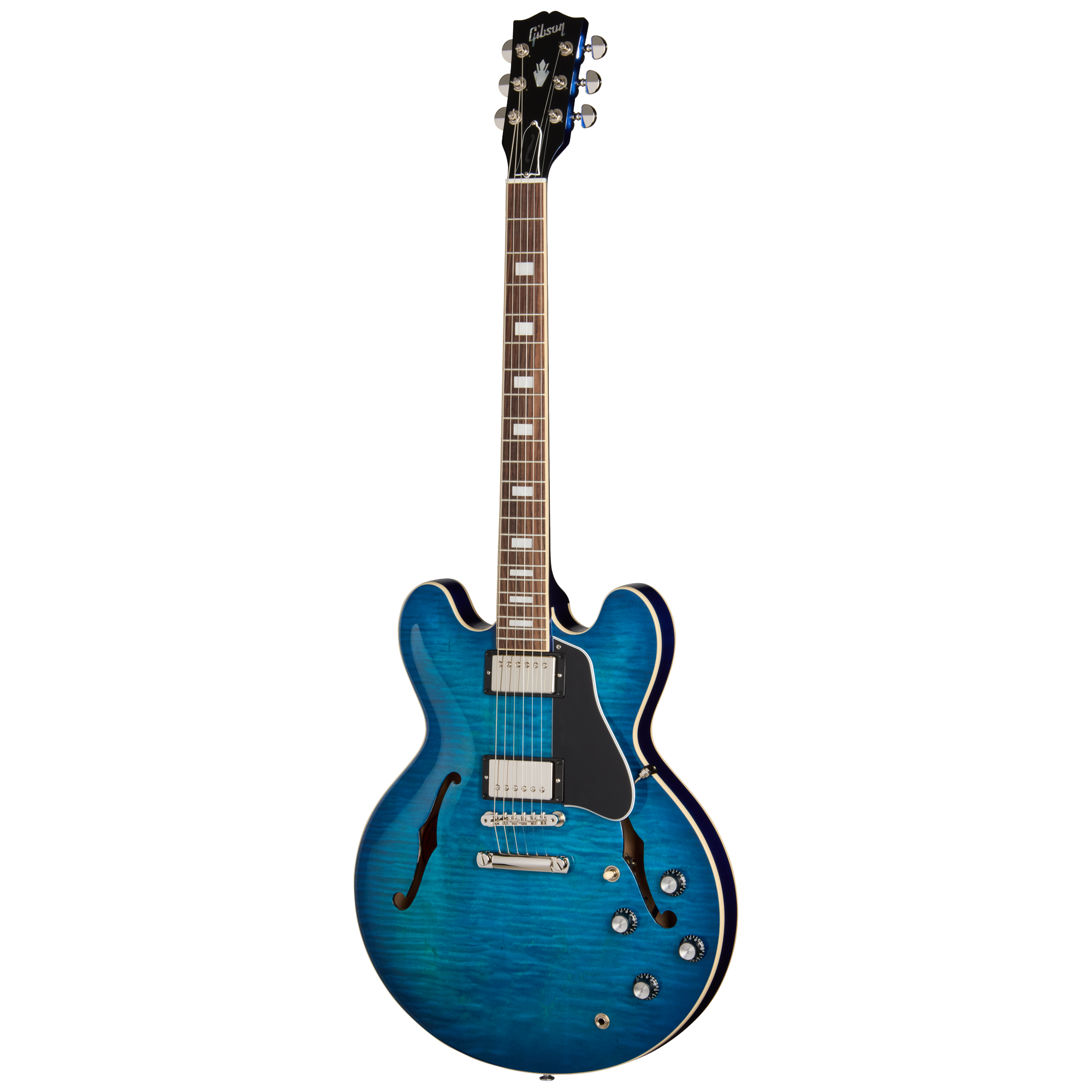 ぽよGibsonLesPaul Deluxe LimitedEdition 2A47F513-21A9-41B7-8DDC-