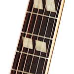 GCVP0064 Inlay