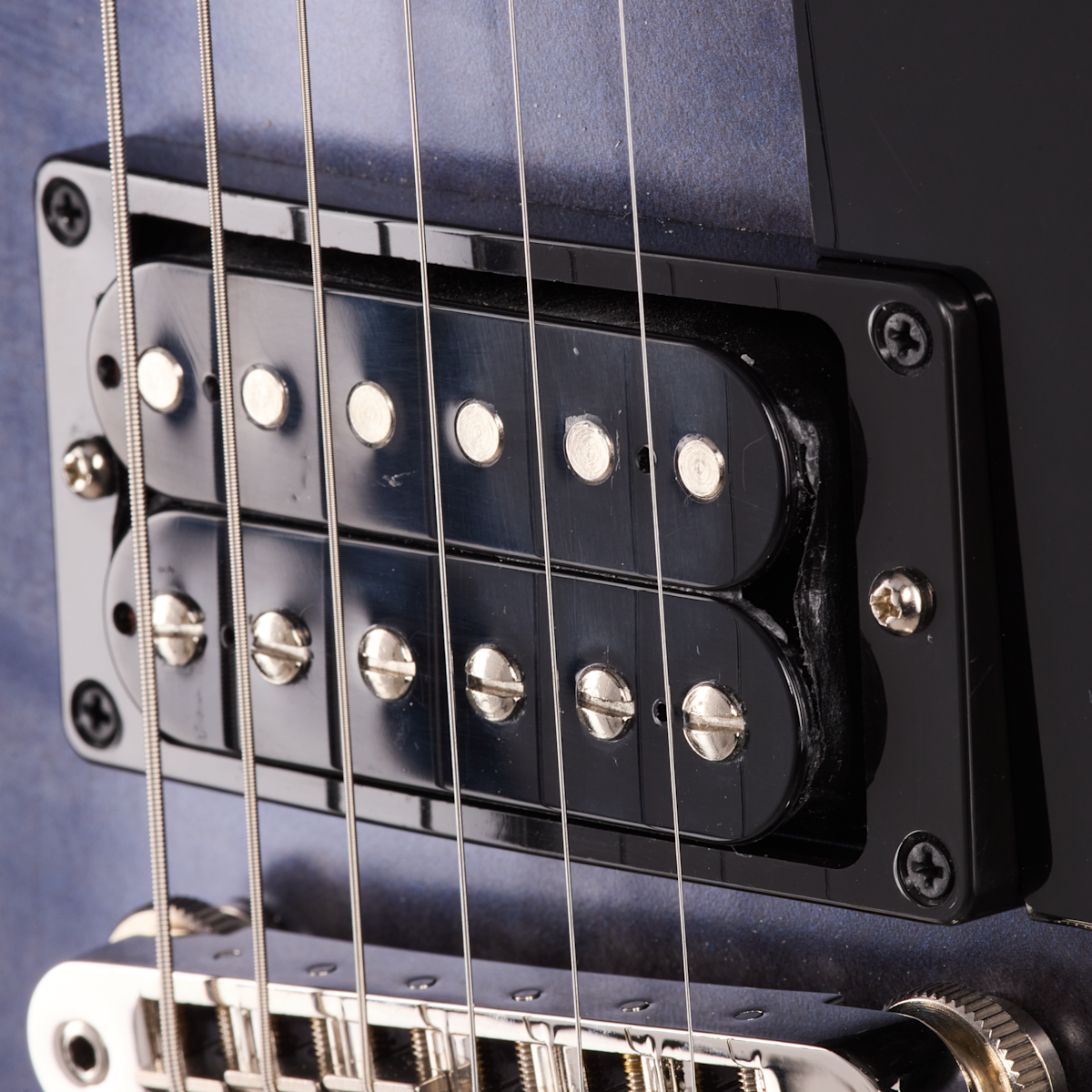 RAM025980 DS0291 8lbs6oz Pickups