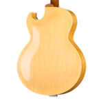 GCVP0053 4 BackBody